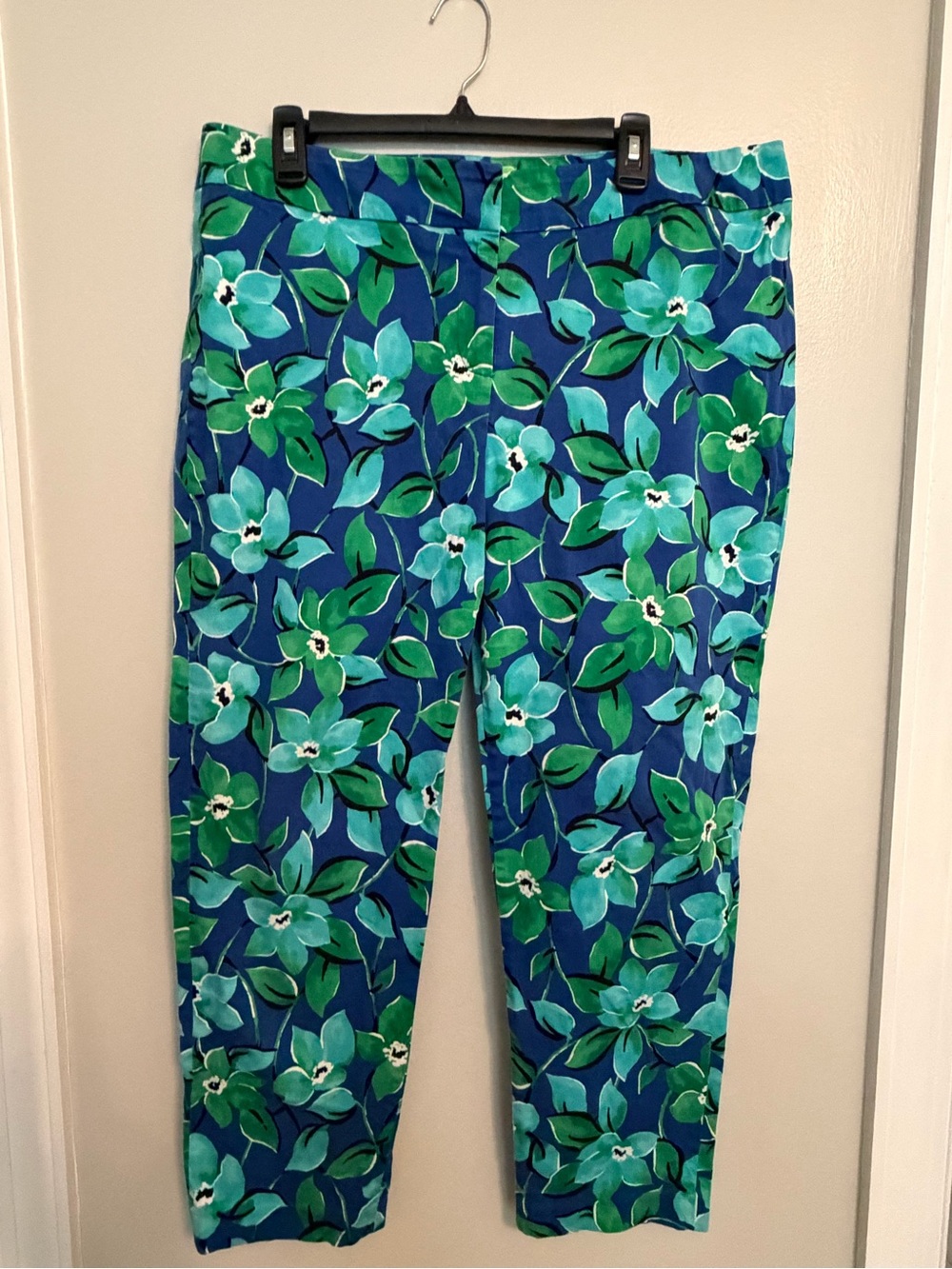 Pappagallo Blue and Green Floral Ponte Pants